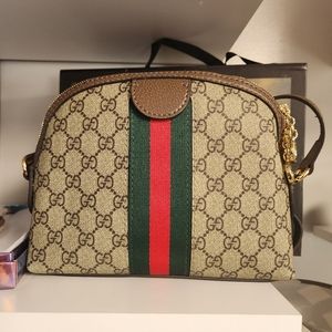 Ophidia crossbody purse